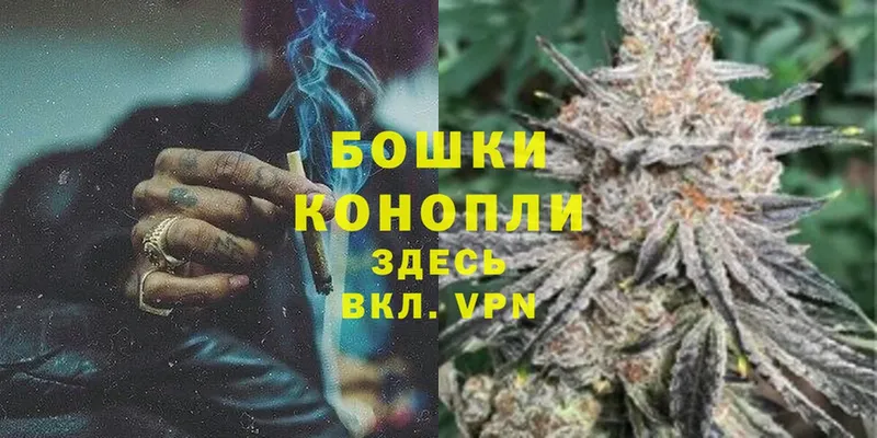 МЕГА ТОР  где найти   Кириллов  Бошки Шишки VHQ 